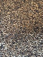 Verse biologische walnoten 2025, oogst van dit jaar!, Diversen, Ophalen of Verzenden