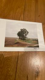 6/15 limetid edition foto, Antiek en Kunst, Kunst | Tekeningen en Foto's, Ophalen of Verzenden