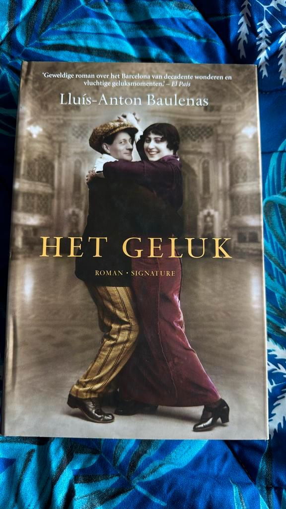 Llius-Anton Baulenas - Het geluk, Boeken, Literatuur, Zo goed als nieuw, Ophalen of Verzenden
