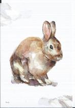 3 Dierenansichtkaarten kaarten  Vos Paard en een Konijn, Verzenden, 1980 tot heden, Ongelopen, Overige soorten