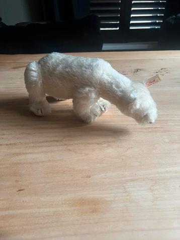 Limited edition Steiff beer, teddybeer, ijsbeer beschikbaar voor biedingen