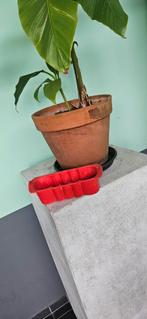 Tupperware taartvorm - Nieuw!, Ophalen of Verzenden, Nieuw