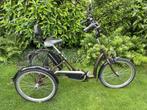 Pfau-Tec Palermo N7 elektrische volwassen driewieler, Fietsen en Brommers, Fietsen | Driewielfietsen, Ophalen, Zo goed als nieuw