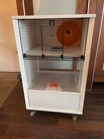 Hamsterkooi hamsterhuis, Dieren en Toebehoren, Knaagdieren en Konijnen | Hokken en Kooien, Ophalen of Verzenden, Minder dan 75 cm