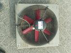Ventilator 45cm 8 st, Mannelijk, Varken