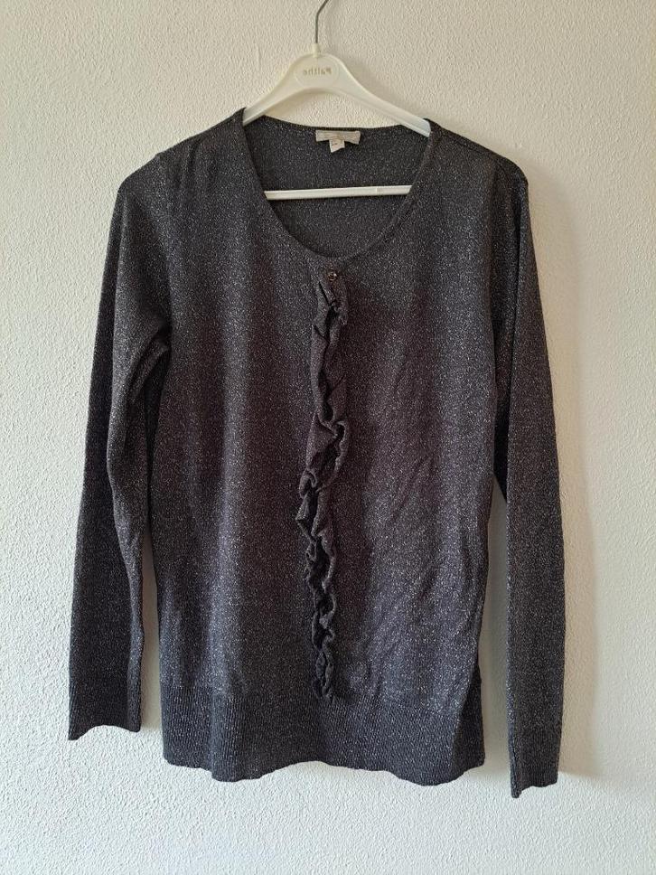 grijze setter tuniek maat 40, Kleding | Dames, Blouses en Tunieken, Zo goed als nieuw, Maat 38/40 (M), Grijs, Ophalen of Verzenden