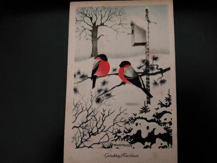 Goudvinken op tak, vogelhuisje/sneeuw, gelopen, 1947, Verzamelen, Ansichtkaarten | Dieren, Gelopen, 1940 tot 1960, Vogel, Verzenden