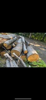Div soorten hout, Doe-het-zelf en Verbouw, Hout en Planken, Ophalen, Gebruikt, Overige typen, 50 mm of meer