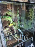 Terrarium, Dieren en Toebehoren, Ophalen, Zo goed als nieuw, Terrarium of Paludarium