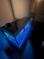 Eheim set incpiria 530 Aquarium, Ophalen, Zo goed als nieuw, Leeg aquarium