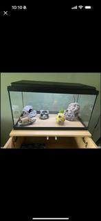 Aquarium met toebehoren, Ophalen of Verzenden, Zo goed als nieuw, Leeg aquarium