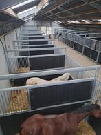 Aangeboden: box vrij, Dieren en Toebehoren, Stalling en Weidegang, Weidegang, 1 paard of pony