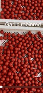 Garlic robin red boilies, Ophalen of Verzenden, Nieuw, Overige typen