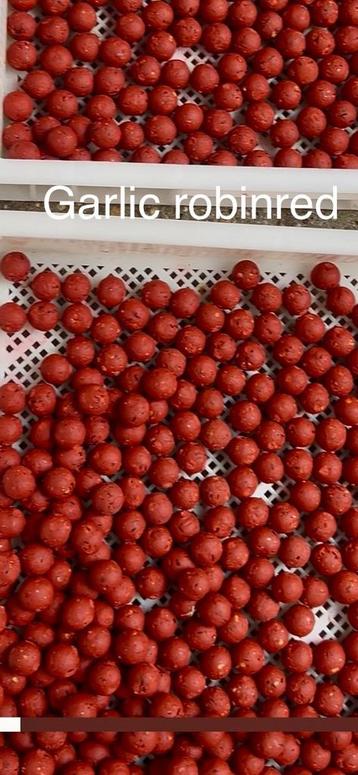 Garlic robin red boilies beschikbaar voor biedingen
