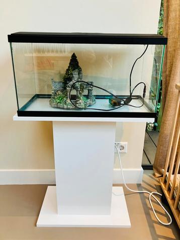 Complete set: aquarium 60 l + witte standaard beschikbaar voor biedingen