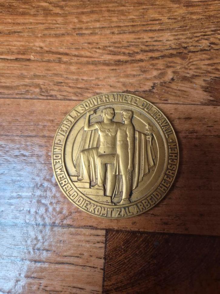 BWR Medaille 1885-1935, Postzegels en Munten, Penningen en Medailles, Ophalen of Verzenden