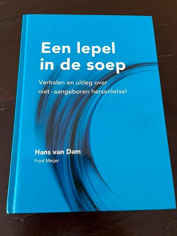 Hans van Dam - Een lepel in de soep beschikbaar voor biedingen