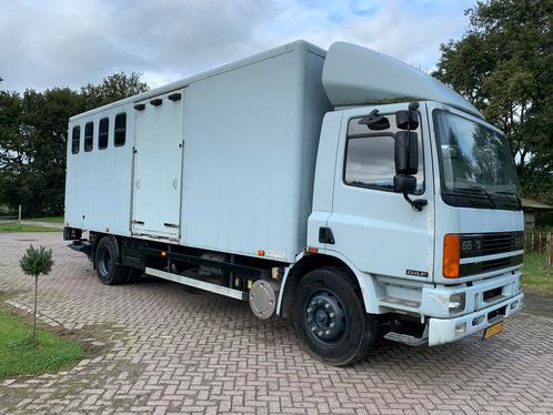 Daf Paardenvrachtwagen, Auto's, Vrachtwagens, Particulier, DAF, Diesel, Handgeschakeld, Ophalen