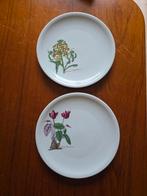 Seltmann Weiden Ontbijtborden - 2 stuks, Huis en Inrichting, Keuken | Servies, Gebruikt, Ophalen of Verzenden, Bord(en), Overige stijlen