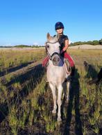 Samshield cap en andere rijkleding maat 152/158, Dieren en Toebehoren, Ophalen of Verzenden, Zo goed als nieuw, Dressuur, Bovenkleding