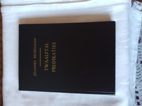 Twaalftal predikaties - Joannes Beukelman, Boeken, Godsdienst en Theologie, Zo goed als nieuw, Christendom | Protestants, Ophalen of Verzenden