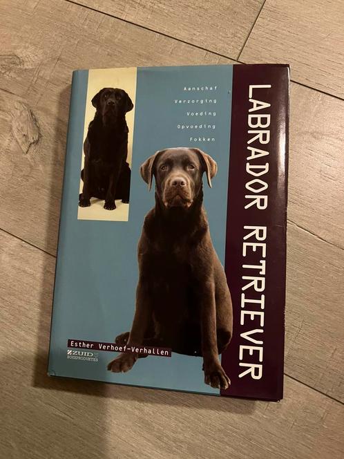 E. Verhoef-Verhallen - Labrador Retriever huisdieren honden, Boeken, Dieren en Huisdieren, Zo goed als nieuw, Honden, Ophalen of Verzenden