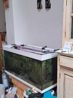 Aquarium Eheim HxBxD 49x101x41met witte lijst, Ophalen, Zo goed als nieuw, Leeg aquarium