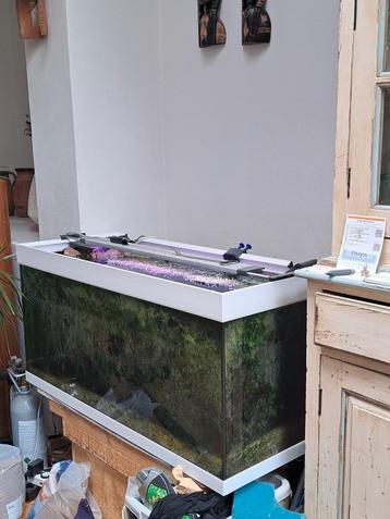 Aquarium Eheim HxBxD 49x101x41met witte lijst beschikbaar voor biedingen