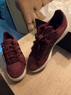 Adidas sportschoen - Nieuw in doos!, Overige kleuren, Sportschoenen, Nieuw, Ophalen of Verzenden