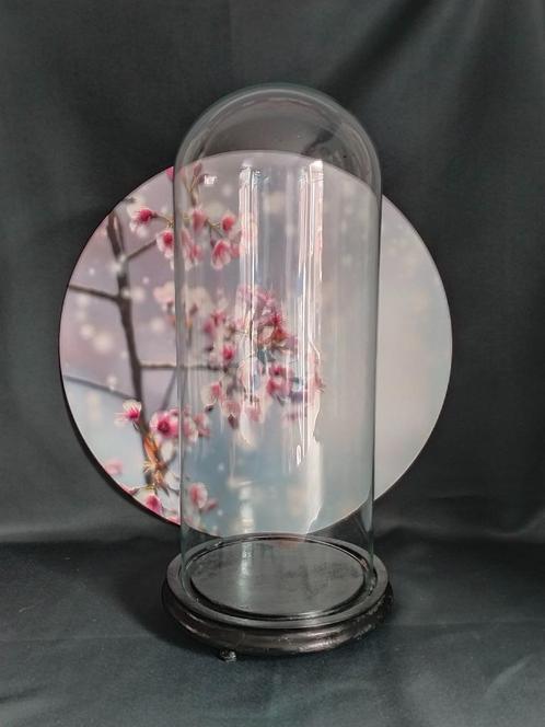Grote oude glazen stolp / antieke stolp, Antiek en Kunst, Antiek | Religie, Ophalen