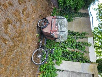 Bak fiets  beschikbaar voor biedingen