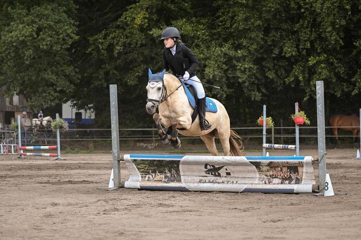 Bijrijder aangeboden omgeving doetinchem!, Dieren en Toebehoren, Paarden en Pony's | Verzorgingsproducten, Nieuw, Verzenden