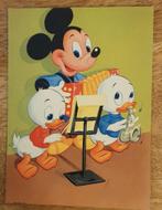 Blanco kaart 1964 disney mickey mouse  kwik kwek muziek, Verzamelen, Ansichtkaarten | Themakaarten, Muziek, Ongelopen, Ophalen of Verzenden