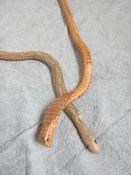 Vintage Houten Speelgoed Slangen Cobra, Verzamelen, Ophalen of Verzenden, Gebruikt