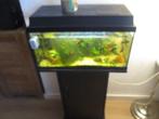 aquarium, Dieren en Toebehoren, Vissen | Aquaria en Toebehoren, Ophalen, Gebruikt, Leeg aquarium