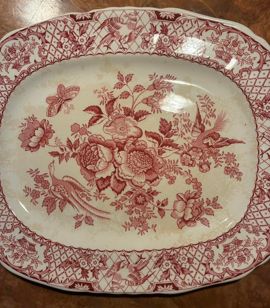 Prachtig Prachtig een vintage serveerschaal van Mason's, Ophalen of Verzenden