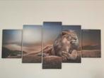 5 panels canvas art Lion, Minder dan 50 cm, Zo goed als nieuw, Hout, Ophalen