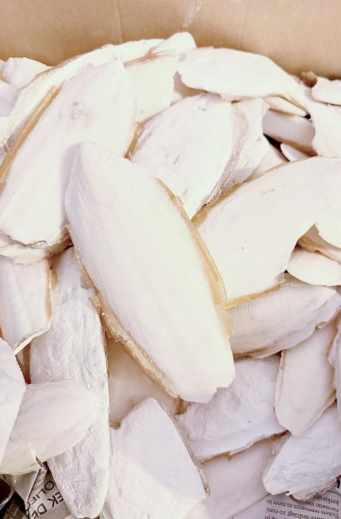 Sepia voor schildpadden en vogels, Dieren en Toebehoren, Ophalen, Nieuw, Eten en Drinken
