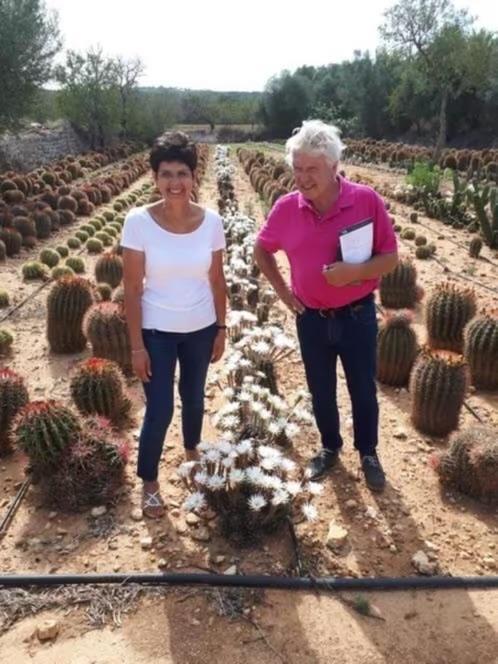 KOM IN DE KAS OP zaterdag  21februari OPEN VAN 09.00-16.00, Huis en Inrichting, Kamerplanten, Overige soorten, Minder dan 100 cm