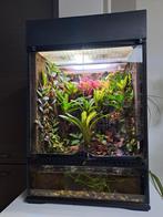 Te koop, Dieren en Toebehoren, Reptielen en Amfibieën | Toebehoren, Ophalen of Verzenden