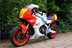 Yamaha XSR 900 SP | XSR900 GP ABS (bj 2024), 890 cc, Super Sport, Particulier, Meer dan 35 kW