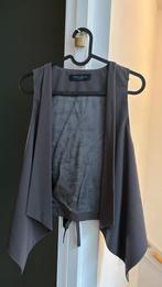 Guess gilet als nieuw, Ophalen of Verzenden, Zo goed als nieuw, Maat 42/44 (L), Grijs