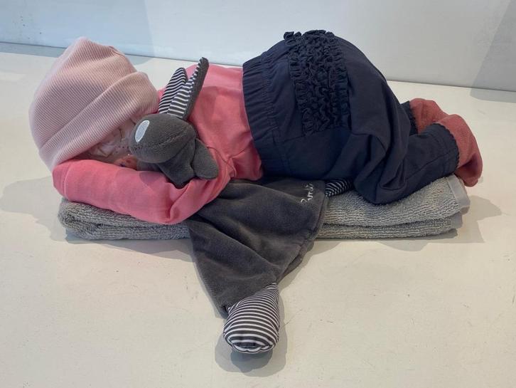 kraamcadeau Luierbaby, Kinderen en Baby's, Kraamcadeaus en Geboorteborden, Nieuw, Kraamcadeau, Ophalen