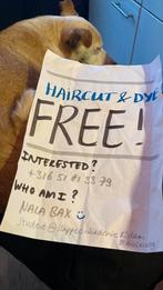 GRATIS haar verven bij de Kappersakademie, Verven of Highlights