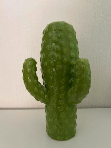 Cactus decoratie beschikbaar voor biedingen