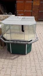 groot terrarium, Ophalen, Overige typen, 90 cm of meer, Hamster