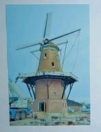 Kootwijkerbroek - Barneveld ( Gld.) Foto Puurveense molen, Verzamelen, Ansichtkaarten | Nederland, Verzenden, 1980 tot heden, Gelderland