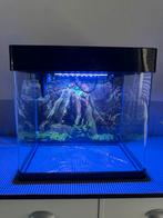Aquarium 50L, Ophalen, Zo goed als nieuw, Leeg aquarium
