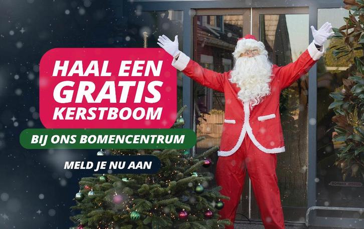 Gratis kerstboom | Nordmann 150-175 cm, Diversen, Kerst, Nieuw, Ophalen