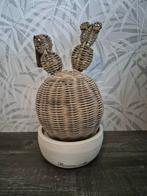 Riviera Maison rattan cactus, Ophalen of Verzenden, Zo goed als nieuw